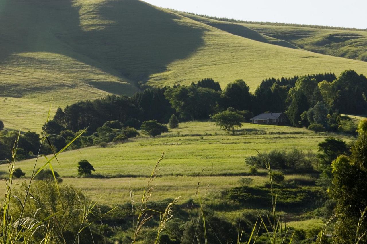 Lions River Country Cottages מראה חיצוני תמונה